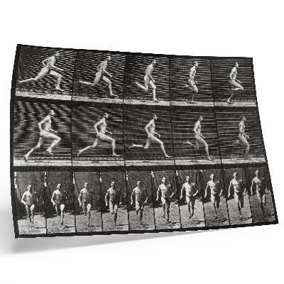 Lámina para cuadro Lámina 60 de Locomoción animal (1887), fotografiada por Eadweard Muybridge.