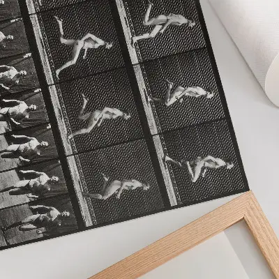 Lámina de Locomoción animal (1887) de Eadweard Muybridge lámina para cuadro