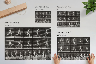 Lámina para cuadro Lámina 60 de Locomoción animal (1887), fotografiada por Eadweard Muybridge.