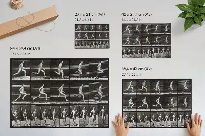 Lámina de Locomoción animal (1887) de Eadweard Muybridge lámina para cuadro
