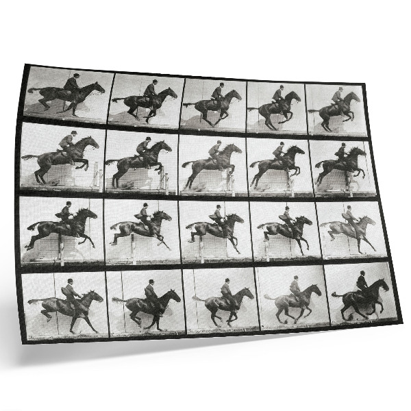 Arte de pared Lámina 640 de Locomoción animal (1887), fotografía de un jinete tomada por Eadweard Muybridge.