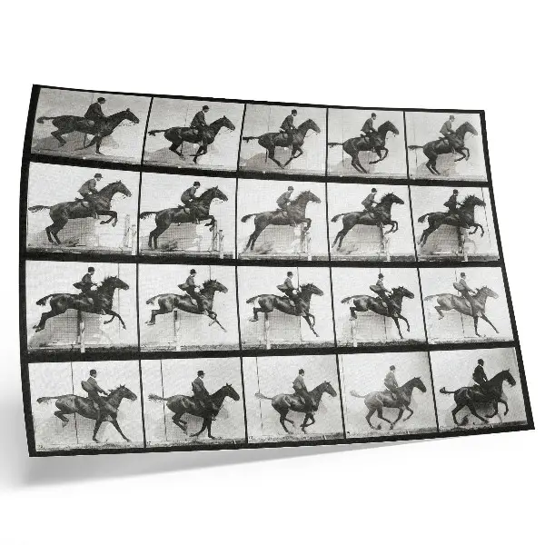 Arte de pared lámina 640 de Locomoción animal de 1887, fotografía de un jinete por Eadweard Muybridge