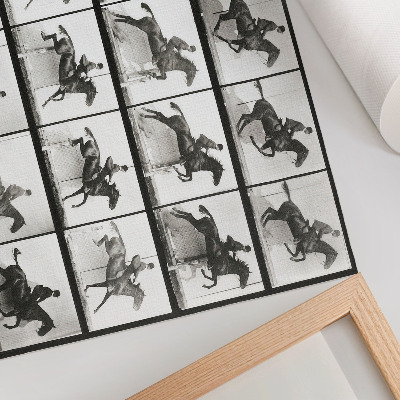 Arte de pared Lámina 640 de Locomoción animal (1887), fotografía de un jinete tomada por Eadweard Muybridge.
