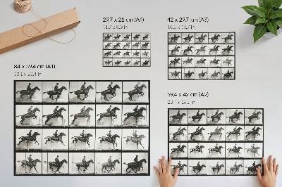 Arte de pared Lámina 640 de Locomoción animal (1887), fotografía de un jinete tomada por Eadweard Muybridge.