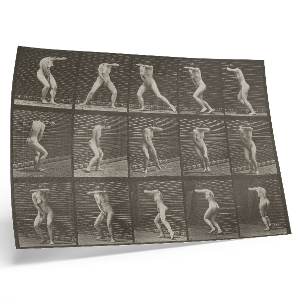 Póster Lámina número 73. Dando la vuelta sorprendido y huyendo (1887) de Eadweard Muybridge.