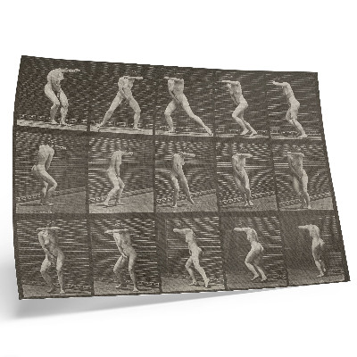 Póster Lámina número 73. Dando la vuelta sorprendido y huyendo (1887) de Eadweard Muybridge.