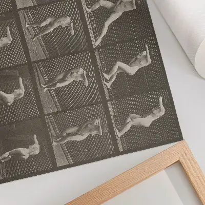 Póster de la lámina número 73 Dando la vuelta sorprendido y huyendo (1887) de Eadweard Muybridge 