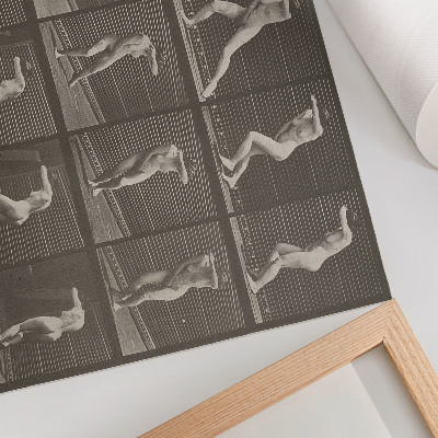 Póster Lámina número 73. Dando la vuelta sorprendido y huyendo (1887) de Eadweard Muybridge.