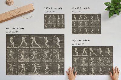 Póster Lámina número 73. Dando la vuelta sorprendido y huyendo (1887) de Eadweard Muybridge.