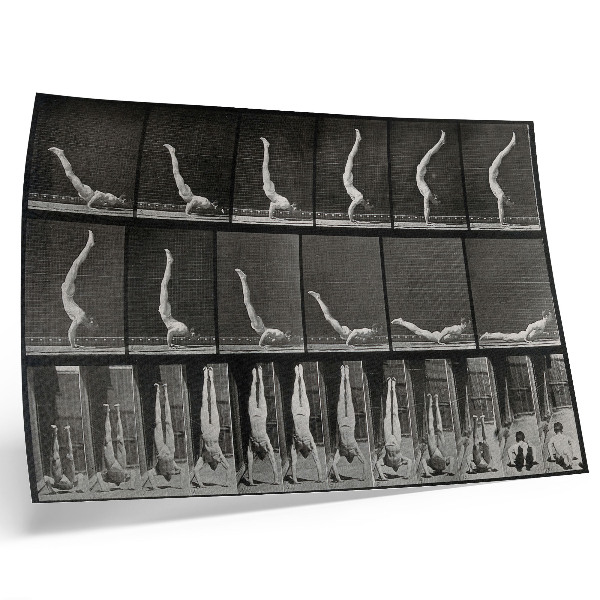 Arte de pared Un hombre de pie sobre sus manos, en posición supina. Fototipo según Eadweard Muybridge, 1887.