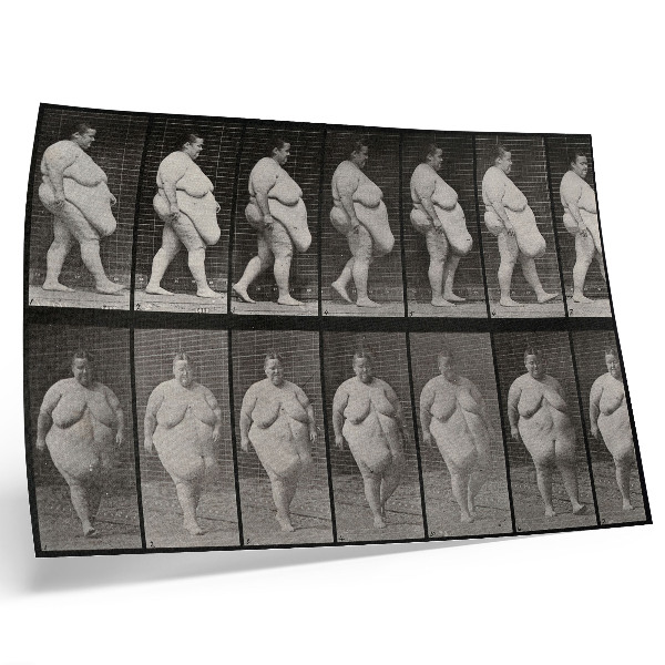 Póster Mujer obesa caminando. Fototipo según Eadweard Muybridge, 1887.