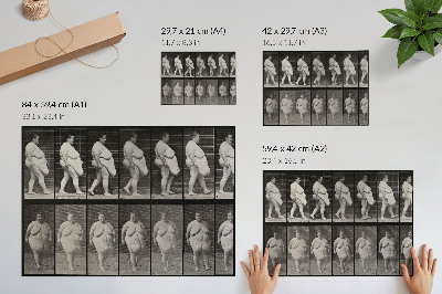 Póster Mujer obesa caminando. Fototipo según Eadweard Muybridge, 1887.