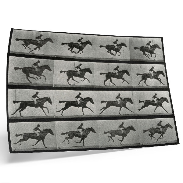 Lámina para cuadro Caballo y jinete al galope. Fototipo según Eadweard Muybridge, 1887.
