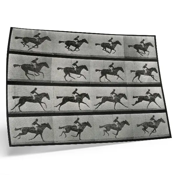 Lámina para cuadro fototipo de caballo y jinete al galope según Eadweard Muybridge de 1887