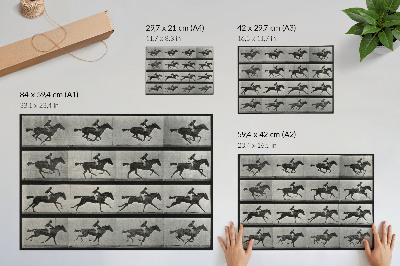 Lámina para cuadro Caballo y jinete al galope. Fototipo según Eadweard Muybridge, 1887.