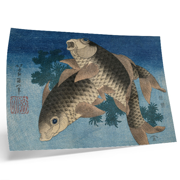 Póster Carpa nadando entre las algas (1831) – Ilustración japonesa de un pez