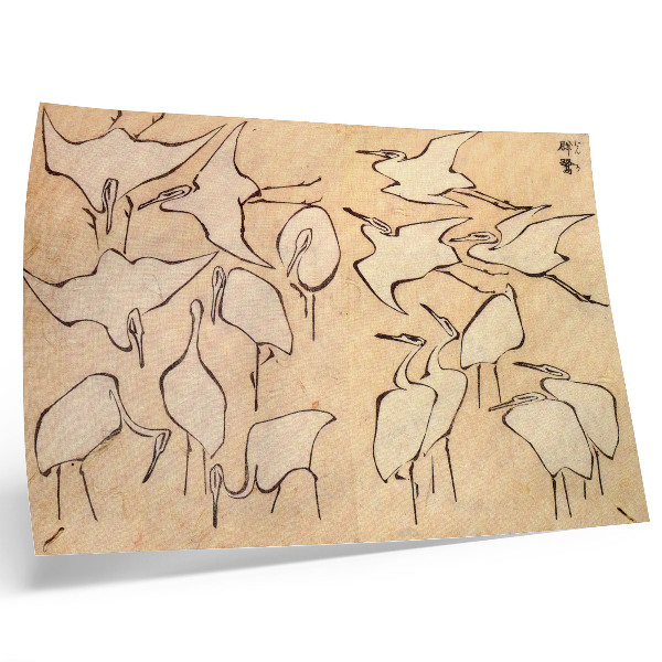 Lámina para cuadro Garzas de Katsushika Hokusai, extraídas de