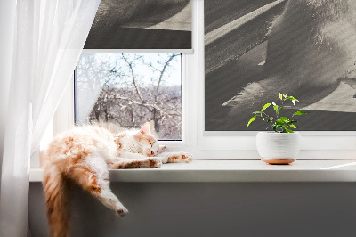 Estor enrollable Gatos en la ventana