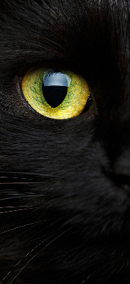 Modern roller blind ojos de gato
