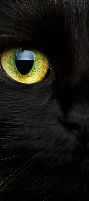Modern roller blind ojos de gato