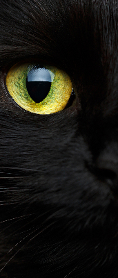 Modern roller blind ojos de gato