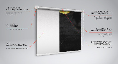Modern roller blind ojos de gato