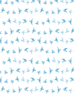 Modern roller blind con diseño de pájaros azules