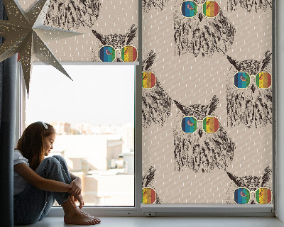 Estor enrollable para ventana con diseño de búhos y gafas de colores