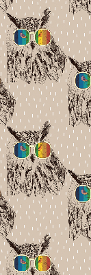 Estor enrollable para ventana con diseño de búhos y gafas de colores