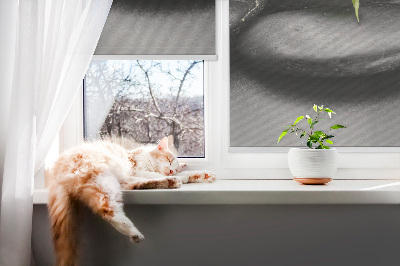 Modern roller blind con el título 