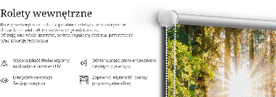 Modern roller blind el sol brillando a través de los árboles