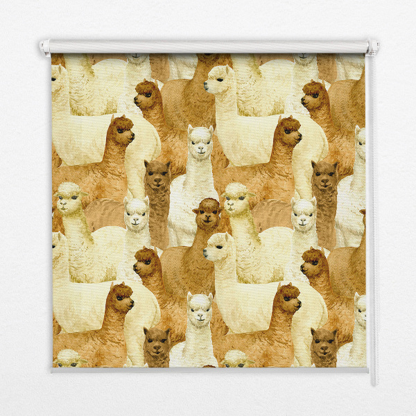 Modern roller blind un rebaño de alpacas