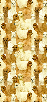 Modern roller blind un rebaño de alpacas