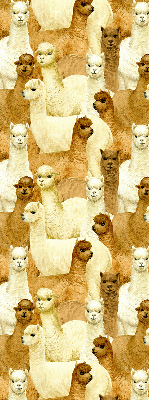 Modern roller blind un rebaño de alpacas