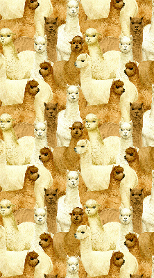Modern roller blind un rebaño de alpacas