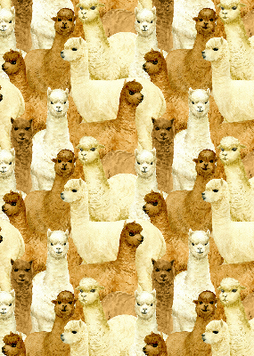 Modern roller blind un rebaño de alpacas