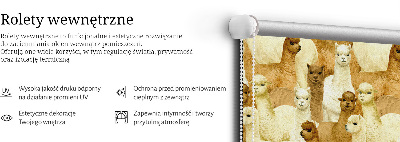 Modern roller blind un rebaño de alpacas
