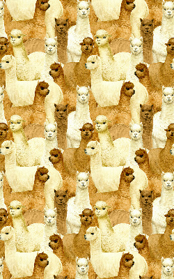 Modern roller blind un rebaño de alpacas