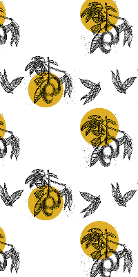 Modern roller blind con estampado de frutas y círculos amarillos