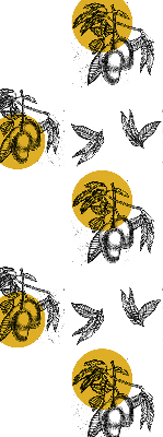 Modern roller blind con estampado de frutas y círculos amarillos