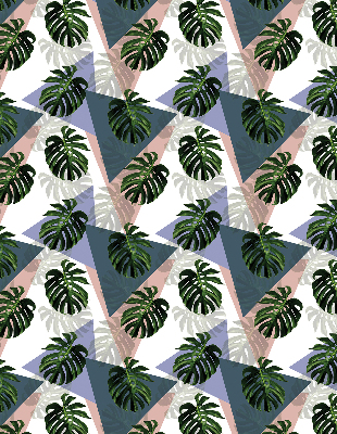 Las hojas de la planta moderna persiana enrollable