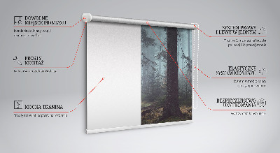 Estor enrollable para ventana Bosque por la noche