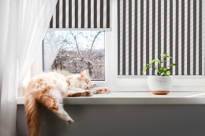 Modern roller blind con rayas blancas y negras