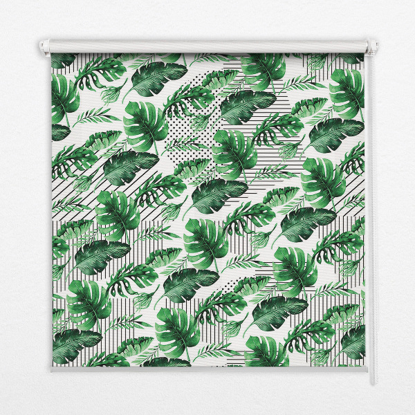 Estor enrollable para ventana con estampado de hojas tropicales