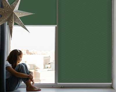 Modern roller blind en color verde