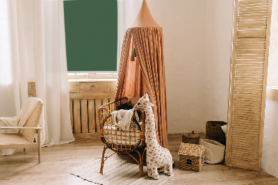 Modern roller blind en color verde
