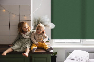 Modern roller blind en color verde