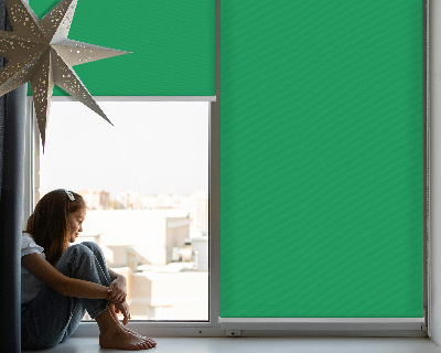 Estor enrollable para ventana en color verde