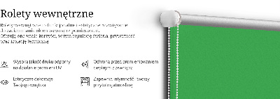 Estor enrollable en color verde
