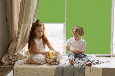 Modern roller blind en color verde